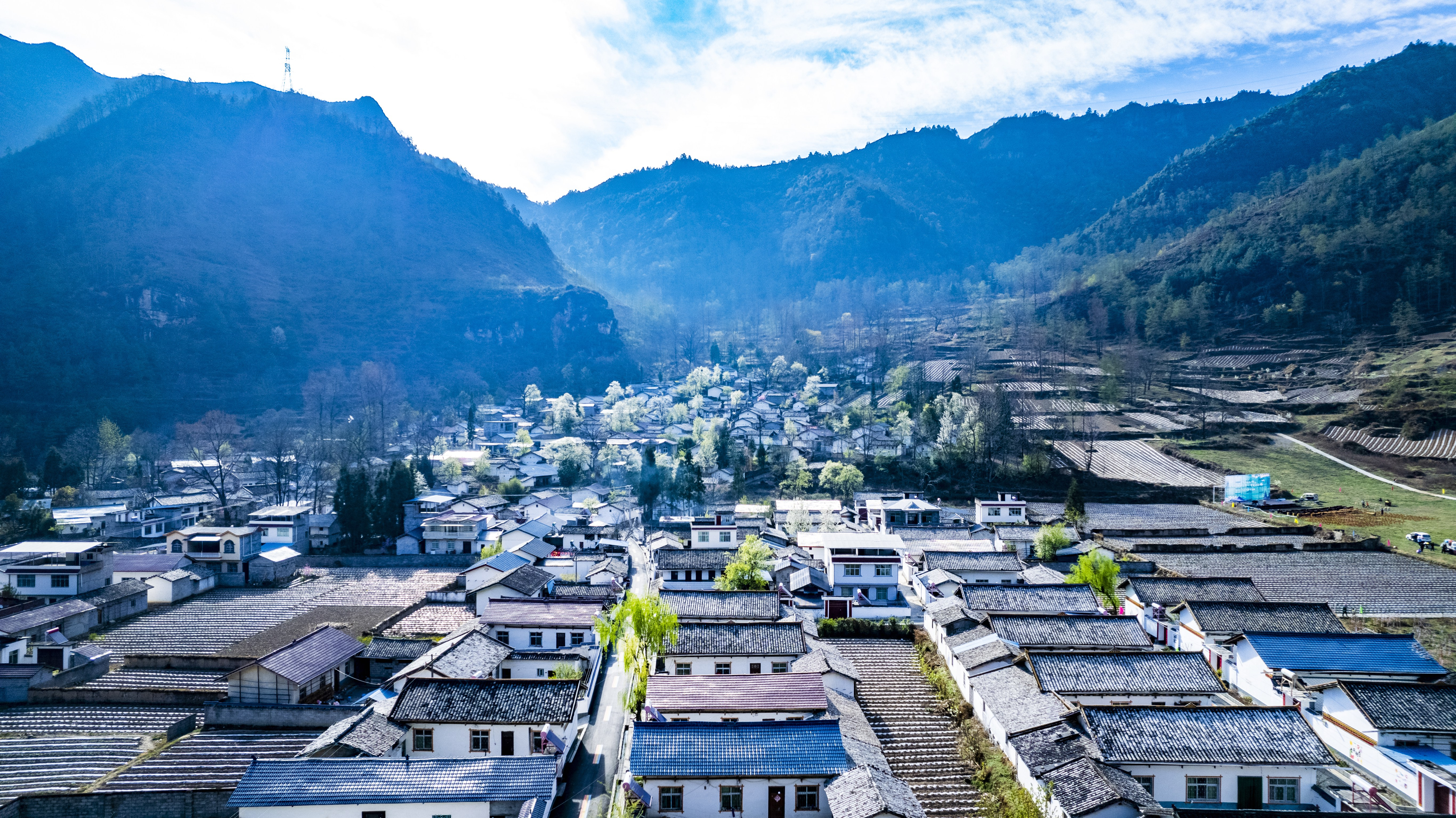 图片5.png 图片5.png