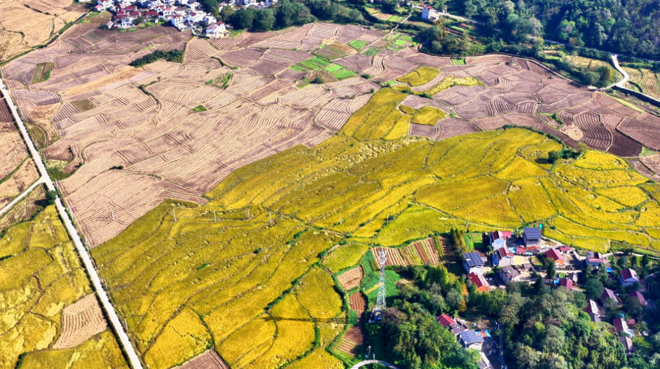 安徽铜陵：山野秋景入画来(图2)