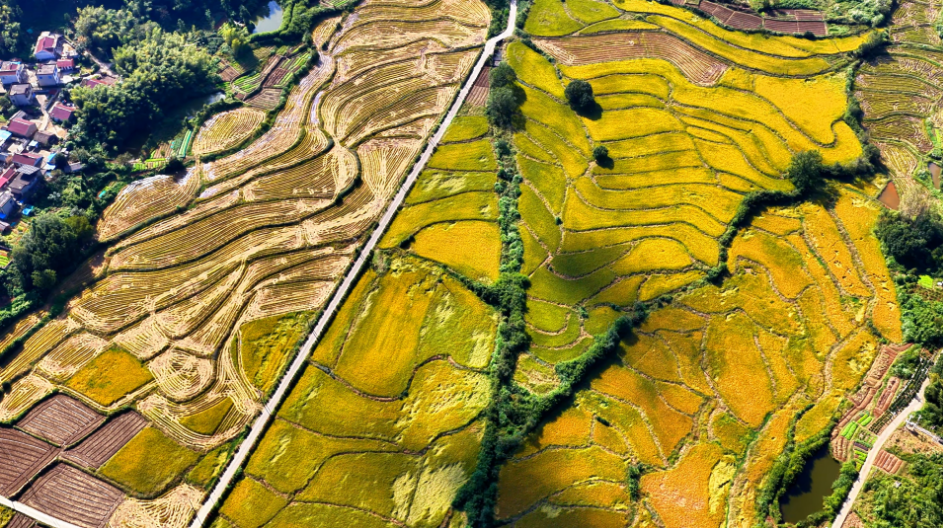 安徽铜陵：山野秋景入画来(图4)