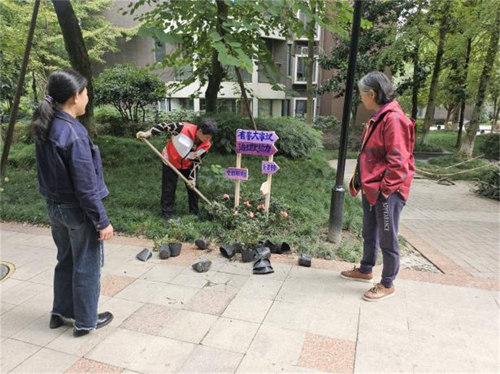我为小区添把力 | 西花汀小区成功开展“七彩画笔汇邻里，微景观中绘新风”文明共创系列活动 (图9)