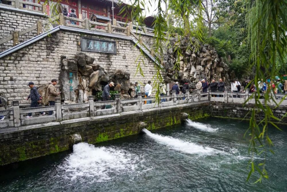 秋日济南，千泉尽欢(图4)