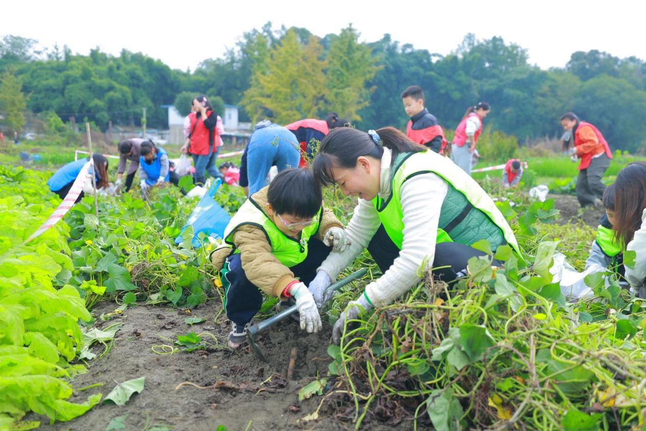 欢乐金秋·“薯”你最棒 金府社区亲子趣味运动会圆满落幕(图6)