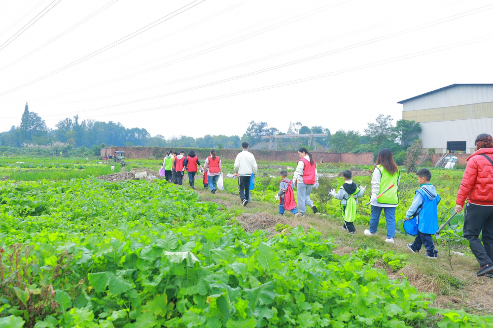 欢乐金秋·“薯”你最棒 金府社区亲子趣味运动会圆满落幕(图9)