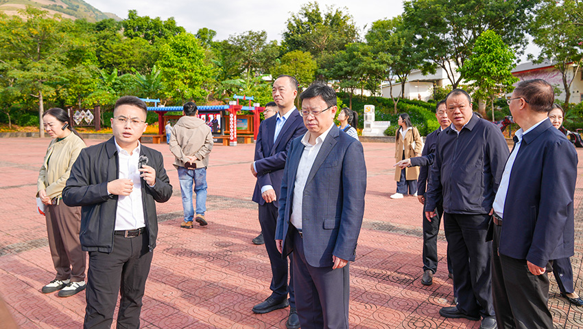 网络代表人士走访调研高龙村。四川省网联会供图