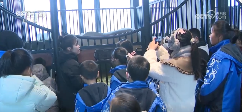 各地冬日文旅融合“多点开花” 消费“旺”势十足(图5)