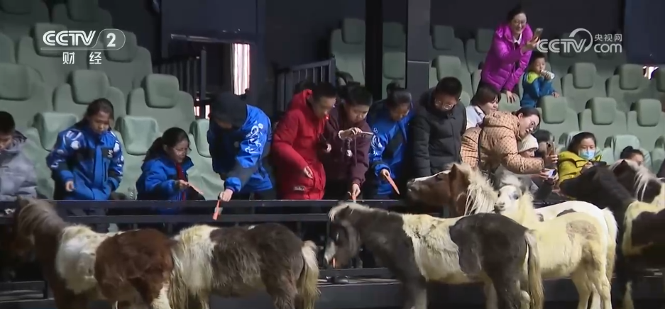 各地冬日文旅融合“多点开花” 消费“旺”势十足(图6)