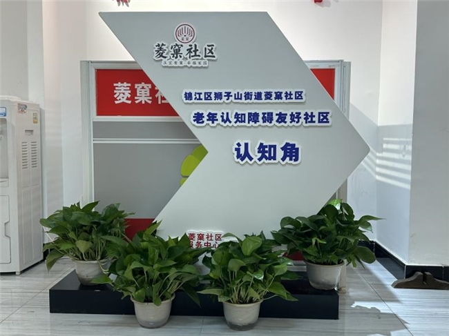 构建三重友好体系：成都市锦江区狮子山街道菱窠社区老年认知障碍友好社区的创新实践(图6)