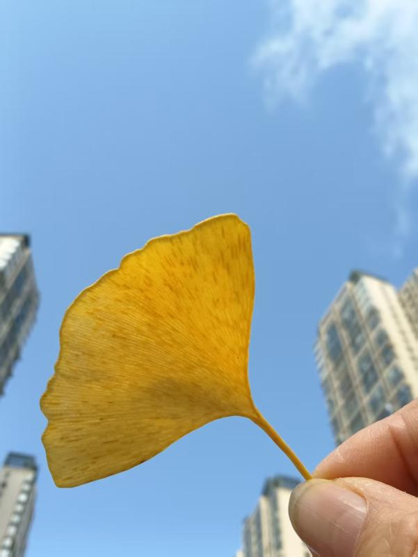 “镜”显家园美·“温”情岁月长|丽晶港社区邻里学堂，定格冬日美好(图8)