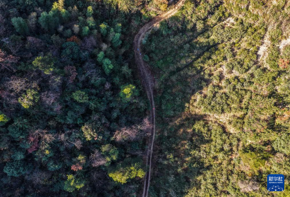 浙江建德举行马岭古道越野赛(图5)
