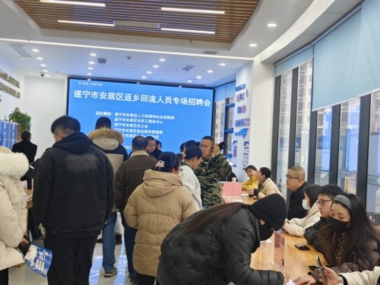 遂宁市安居区举行返乡回流人员专场招聘会(图2)
