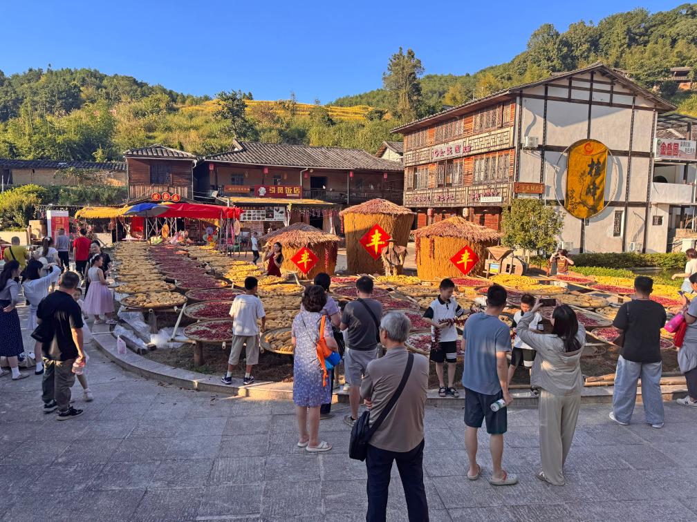 福建桂峰村：古道飘来旧茶香，古村晒出新“风光”(图4)