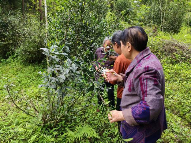 以“低龄”暖“高龄”：“龙溪互助”银发邻里结对计划筑牢乡村养老帮扶网(图2)