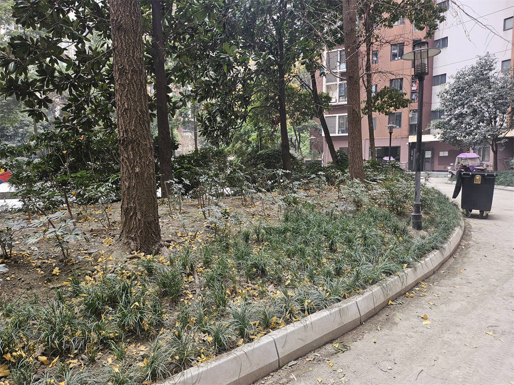  温江区柳城街道大学城社区 我为小区添把力|金强大学城小区“亲邻梦想家”(图3)