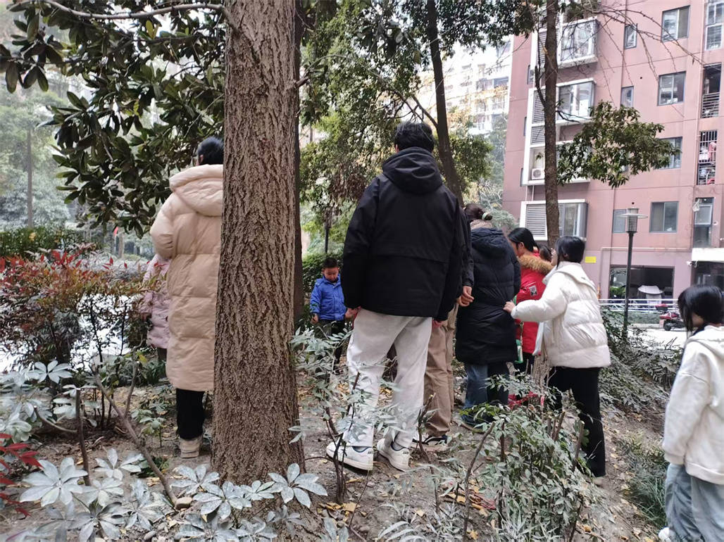  温江区柳城街道大学城社区 我为小区添把力|金强大学城小区“亲邻梦想家”(图4)