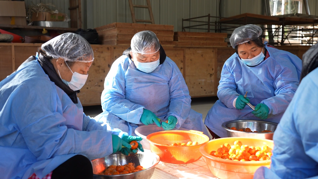 一颗红桔里的产业振兴新图景(图3)