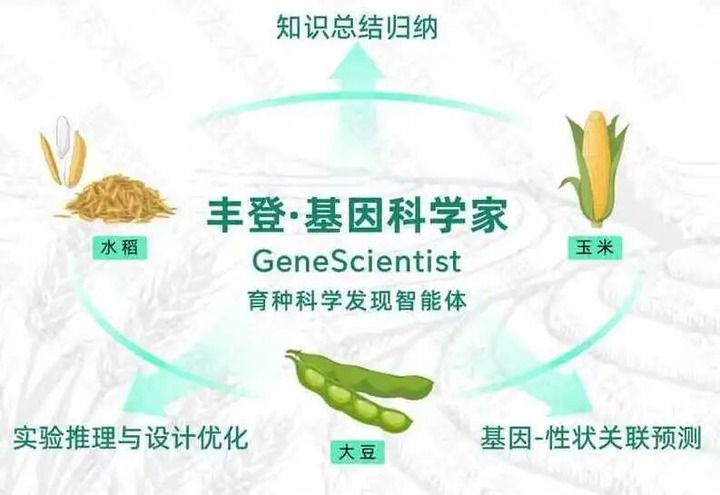 上海农业不只在上海,更在广阔天地(图3) 上海农业不只在上海,更在广阔天地(图3)