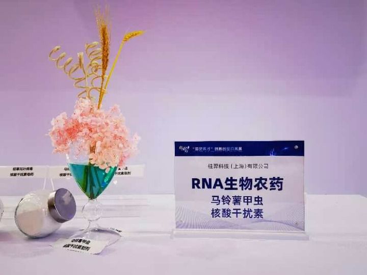 上海农业不只在上海,更在广阔天地(图5) 上海农业不只在上海,更在广阔天地(图5)