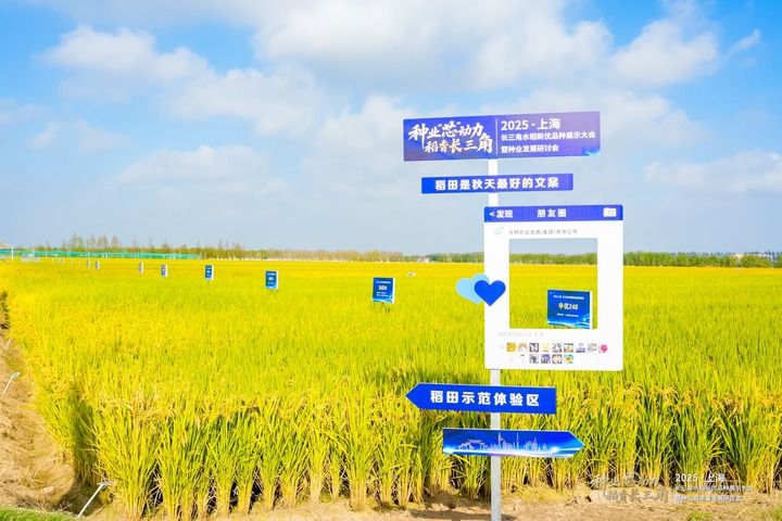 上海农业不只在上海,更在广阔天地(图6) 上海农业不只在上海,更在广阔天地(图6)