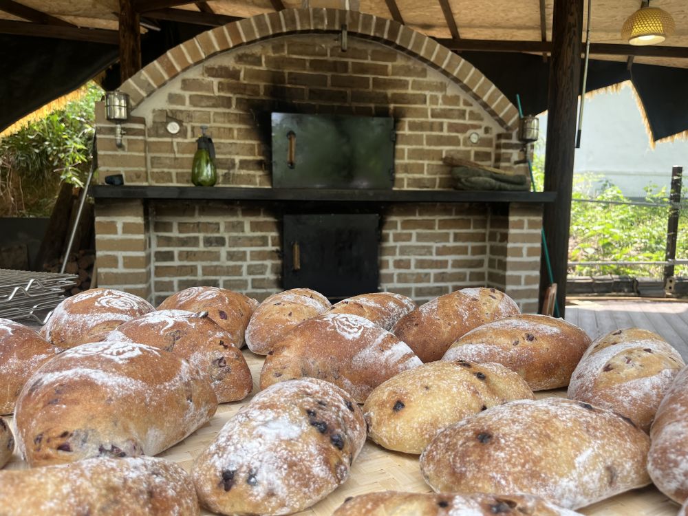 “运营乡村”，乡村CEO走向“留得久”(图8)