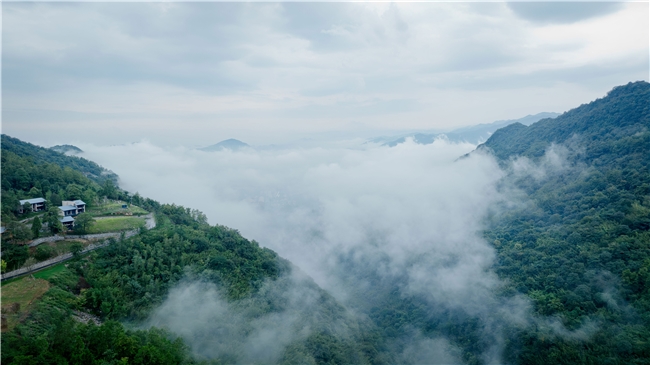 与山水对话，让风物应答，首期“华蓥山对话”暨十里芳菲红岩美村启动仪式圆满举行！(图10)