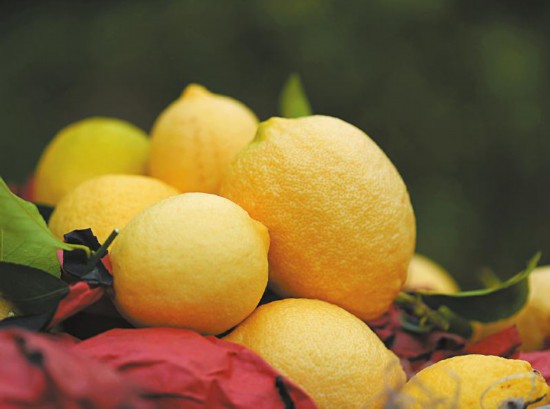 “川字号”农产品明年出口额要破100亿元(图3)