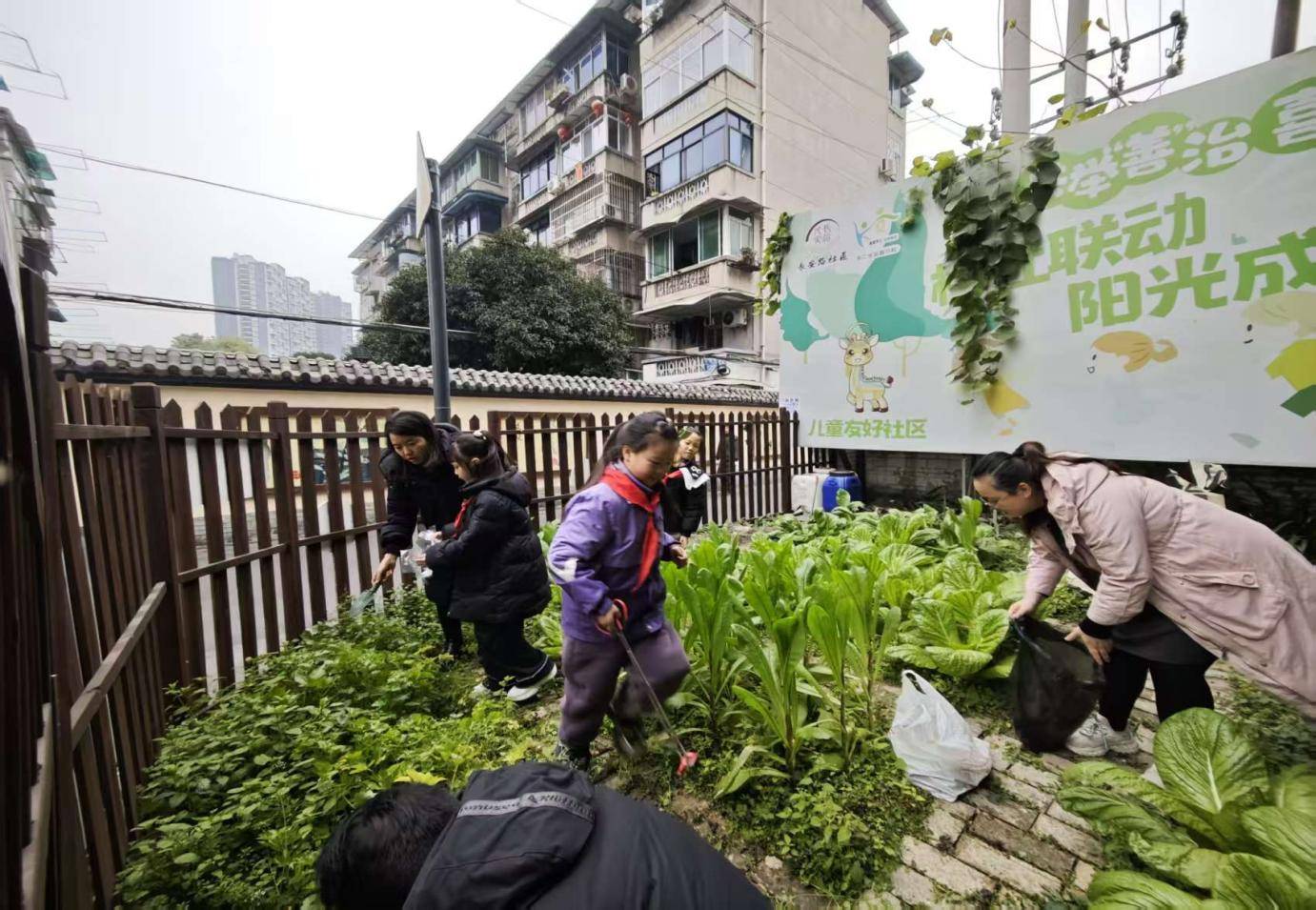 蓉城暖冬·幸福迎新｜长安路社区开展清洁家园志愿服务，家校社协同共建美好家园 (图2)