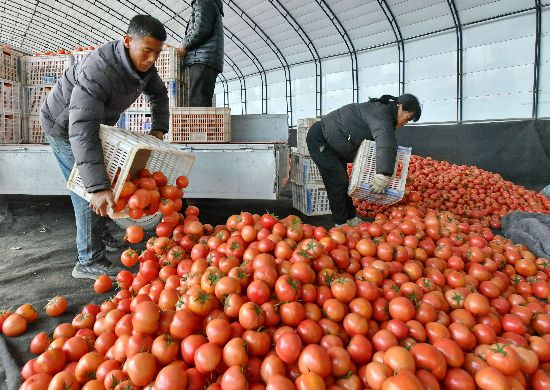 春节期间好买菜不？成都“菜篮子”最新情况来了(图1)