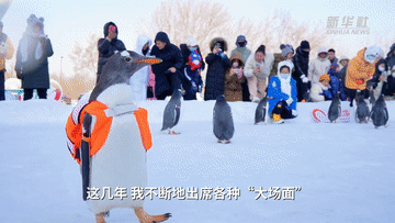 和“街（gāi）溜子”一起逛冰城(图4)