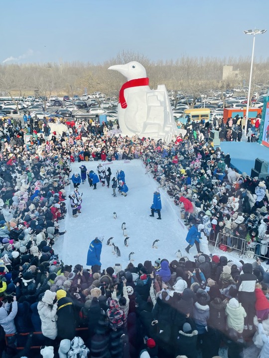 和“街（gāi）溜子”一起逛冰城(图5)