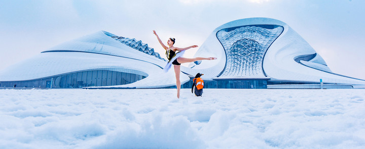 和“街（gāi）溜子”一起逛冰城(图6)