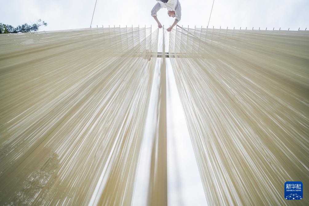 四川德阳:挂面拉出乡村振兴路(图2) 四川德阳:挂面拉出乡村振兴路(图2)