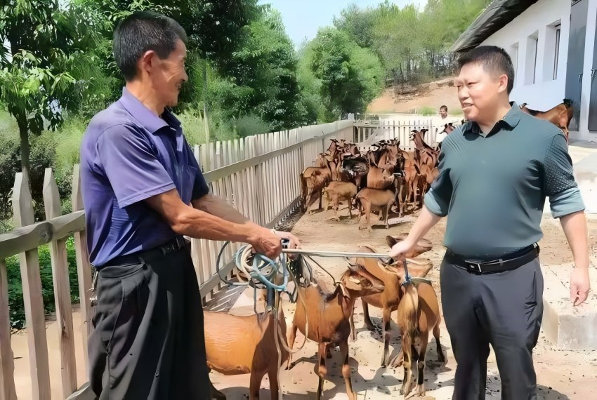 当地群众在合作社就业。受访者供图