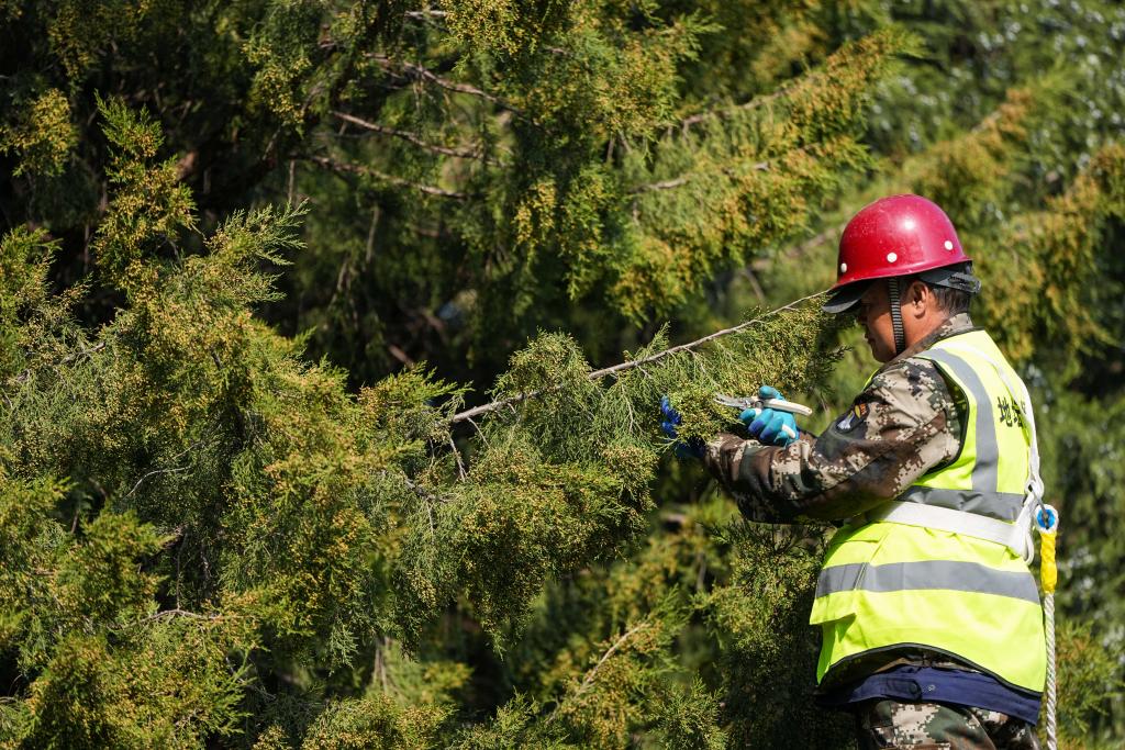 春季花粉治理,有了新解法(图3) 春季花粉治理,有了新解法(图3)