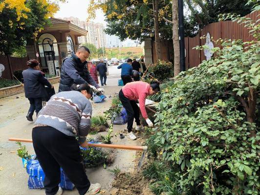 “微更新”撬动“大自治”金壁社区绘就同心共筑新画卷 (图3)