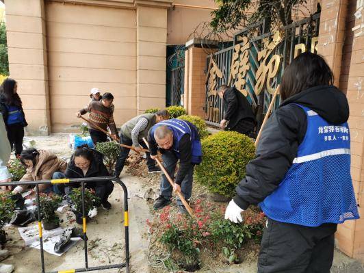 “微更新”撬动“大自治”金壁社区绘就同心共筑新画卷 (图4)