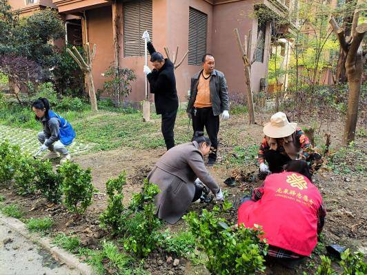 “微更新”撬动“大自治”金壁社区绘就同心共筑新画卷 (图6)