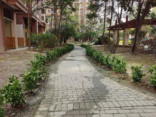 “微更新”撬动“大自治”金壁社区绘就同心共筑新画卷 (图10)