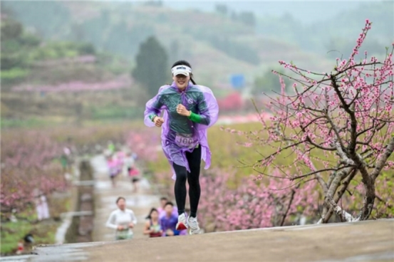 遂宁蓬溪：桃花为媒，“新农人”唱响振兴曲(图1)