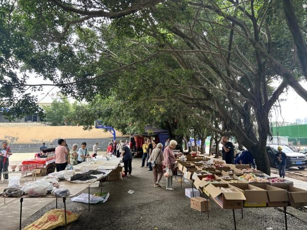 “小行动”催生“大治理”：看陵川社区如何用“居民力量”重塑家园新貌(图3)