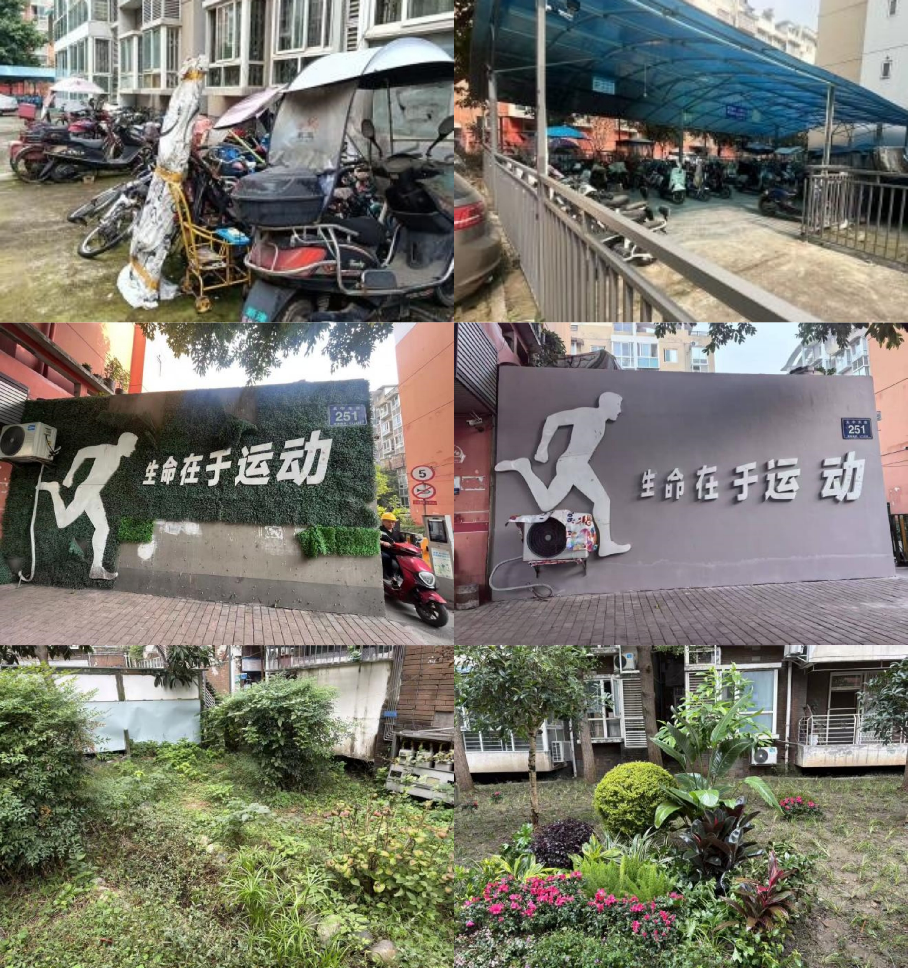 “微更新”暖人心,“共治理”绘新景 ——抚江社区微更新顺利开展(图2) “微更新”暖人心,“共治理”绘新景 ——抚江社区微更新顺利开展(图2)