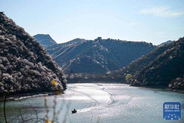 黄花城水长城：山花烂漫 春意正浓 (图3)