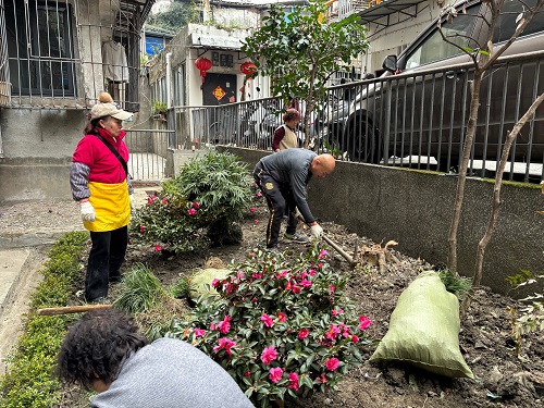 棕南社区开展院落微治理系列行动活动(图3) 微信图片_2026-04-08_110959_754.jpg