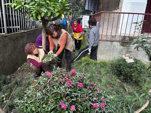 棕南社区开展院落微治理系列行动活动(图4) 微信图片_2026-04-08_111007_827.jpg