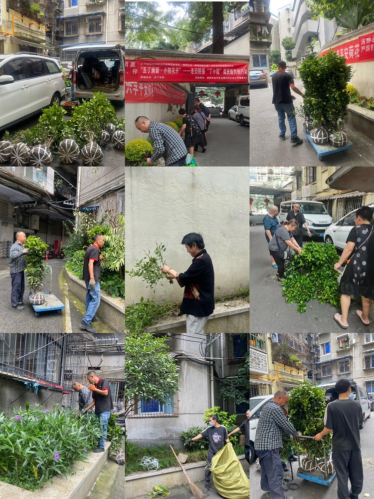 从“环境改造”到“自治赋能”：五丁社区“丁小院”微更新的实践探索(图5)