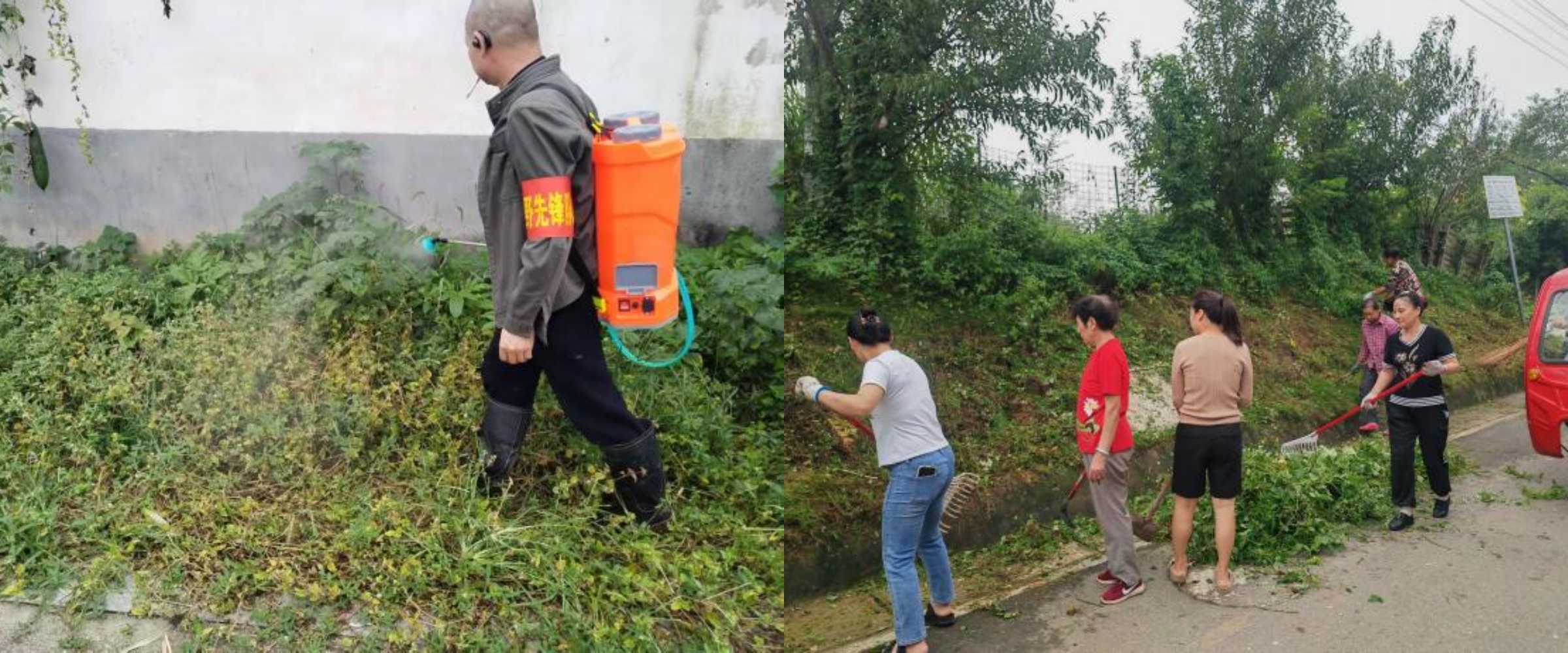 柳江村自组织激活基层治理“一池春水”(图3)