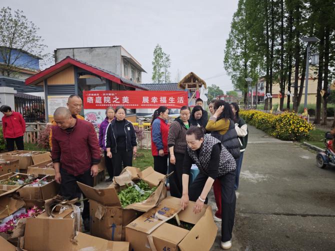以庭院“小美”促乡村“大美”  ——洪川村“最美庭院”评选活动圆满完成(图3)