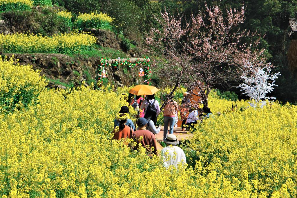 这份原生态，守住了春天最硬核的美！(图2)