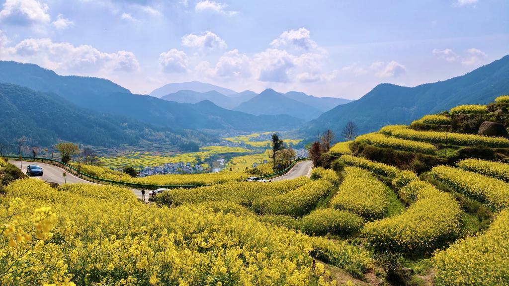 这份原生态，守住了春天最硬核的美！(图1)