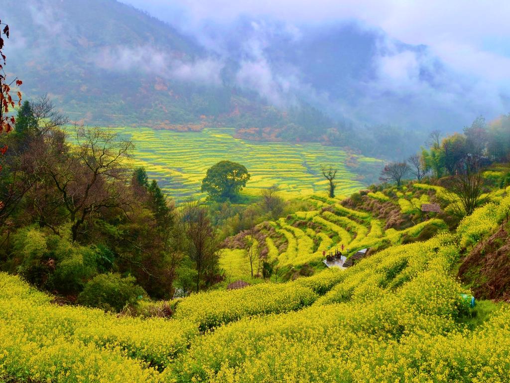 这份原生态，守住了春天最硬核的美！(图3)