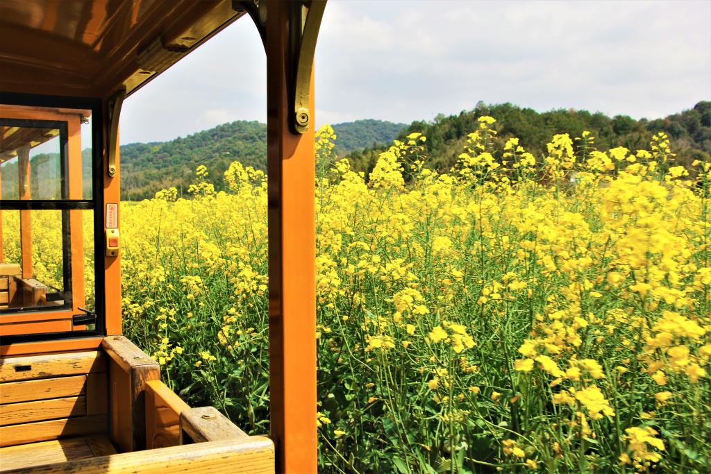 这份原生态，守住了春天最硬核的美！(图5)